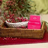 ghk-blog-scentsy-Pink-Pepper-200