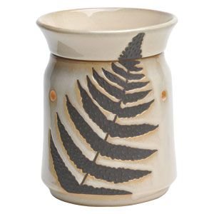 DSW-FERN