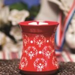 Champion Warmer
